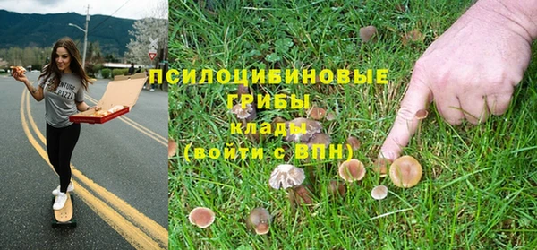 мдпв Балахна